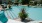 a pool with a plant in it